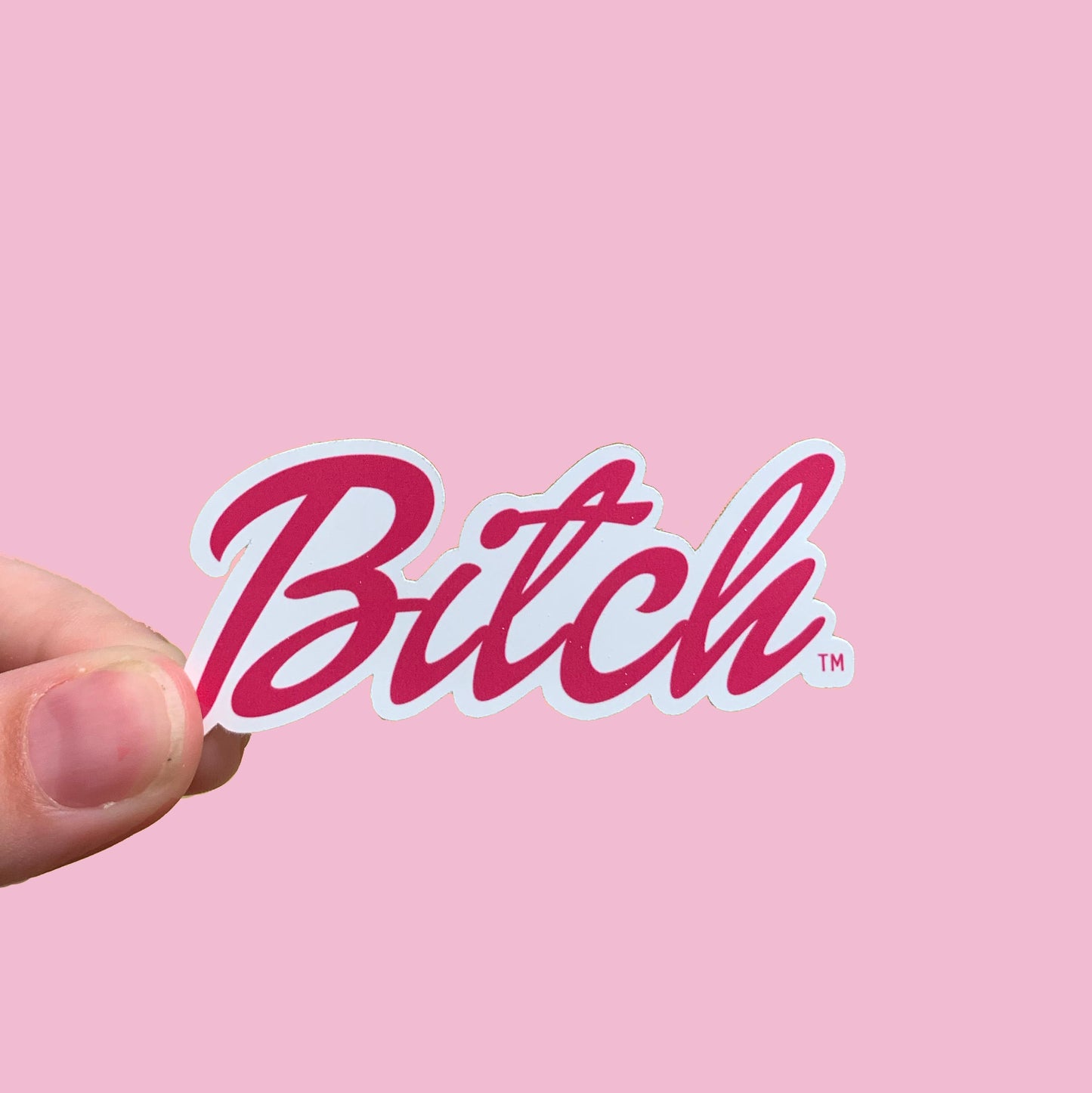 Barbie Bitch Waterproof Sticker
