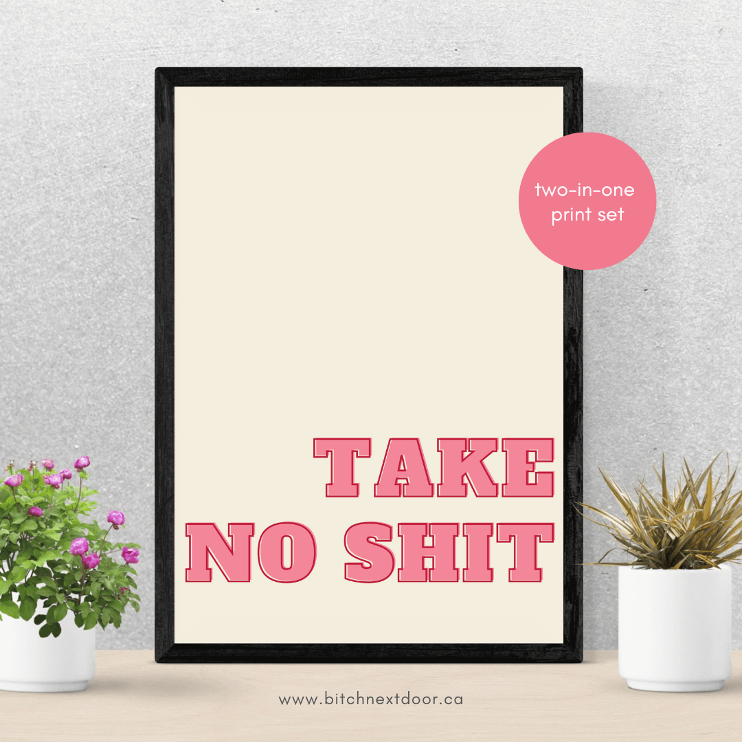 2-in-1 print set. White background with pink "take no shit" text
